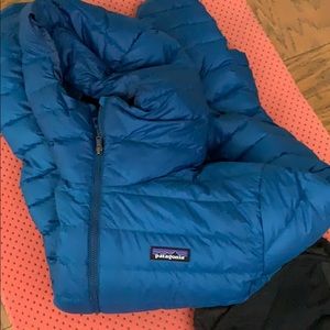 Patagonia Down Sweater Hoody